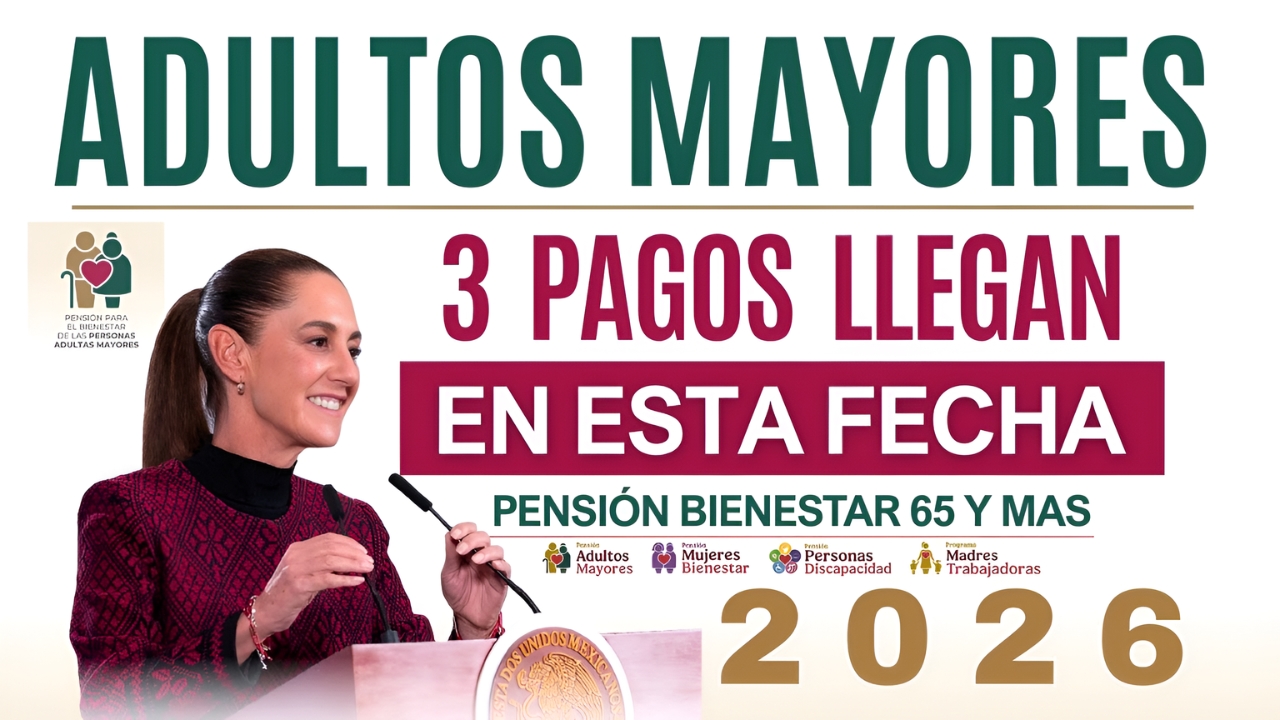 Adultos mayores: cuánto cobrarán en febrero 2026 y cómo registrarse